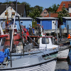 Pfingsten 2012