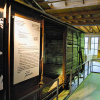 Museen und Ausstellungen